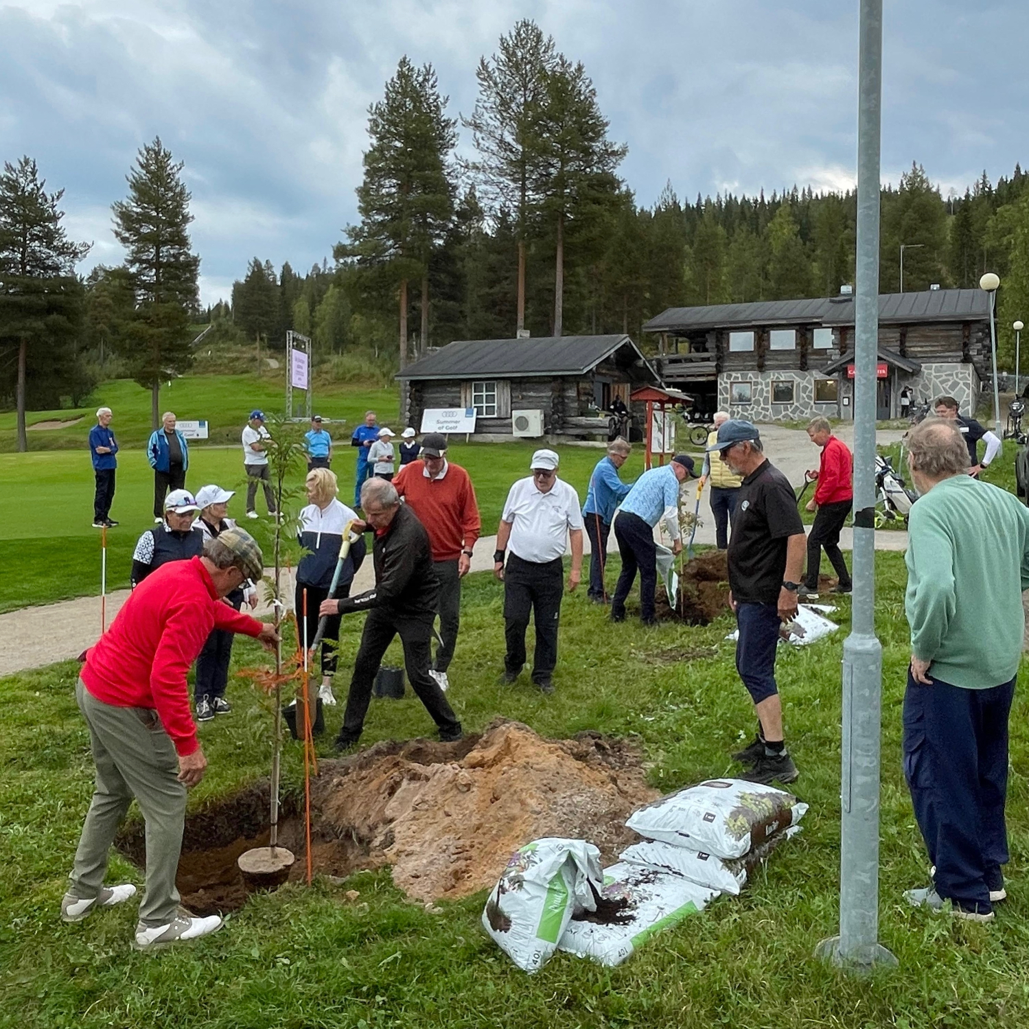Golfseniorit istuttivat muistopuut sunnuntaina.