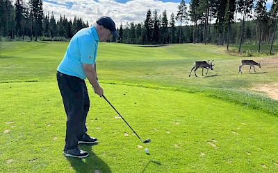 Golf on kasvattanut harrastajamääriään ja nuoria on tullut paljon lajin pariin, iloitsee Tiitola.