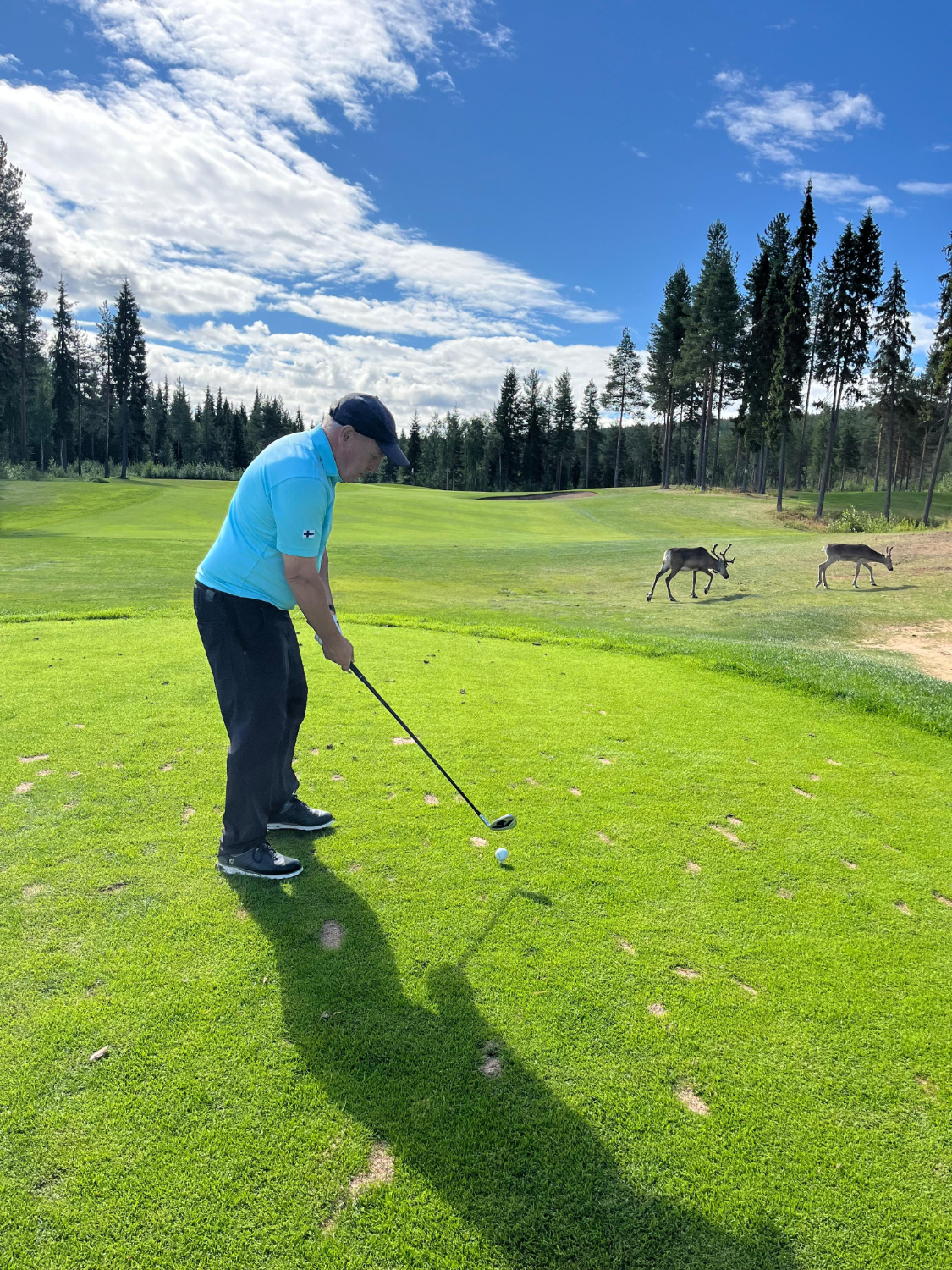 Golf on kasvattanut harrastajamääriään ja nuoria on tullut paljon lajin pariin, iloitsee Tiitola.